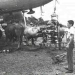 Cambio de motor en Upala a un DC-3 de LACSA